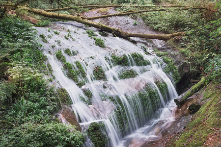 Beautiful waterfallの写真素材