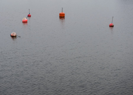 A few buoy indicating that the marina have vacant berth