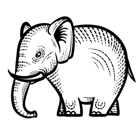 decorative elephant painted with patterns for logo, label, packaging, tattoo, isolated object on a white background,のイラスト素材
