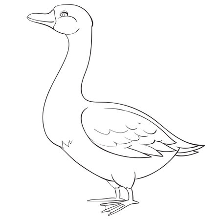 goose drawn in outline, coloring, isolated object on a white background, farm, vector illustration, epsのイラスト素材