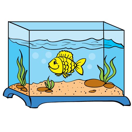 square blue aquarium and one goldfish swims in it, isolated object on a white background, vector illustration, epsのイラスト素材