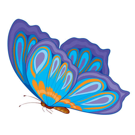 color butterfly, isolated object on a white background, vector illustration, epsのイラスト素材