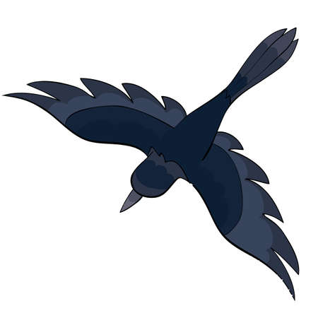 cartoon illustration, magpie bird soars in the sky with wide spread wings, isolated object on a white background, vector, epsのイラスト素材