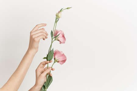 female hand flowers decoration fashion light backgroundの写真素材