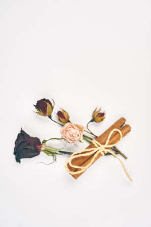 rose petals decoration cinnamon object light backgroundの写真素材