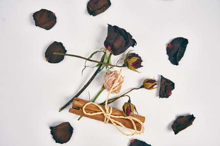rose petals bouquet of flowers decoration cinnamon beautyの写真素材