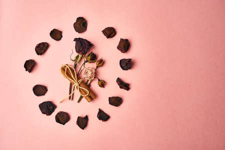 flowers decoration cinnamon pink background top viewの写真素材