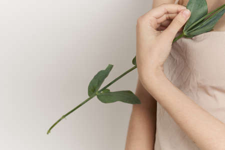 cheerful woman flowers in hands posing charm isolated backgroundの写真素材