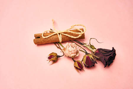 flowers decoration cinnamon pink background top viewの写真素材