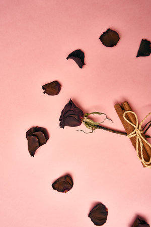 flowers decoration cinnamon pink background top view