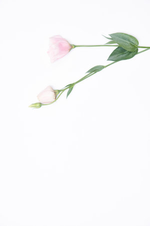 Bouquet of flowers gift birthday holiday decoration