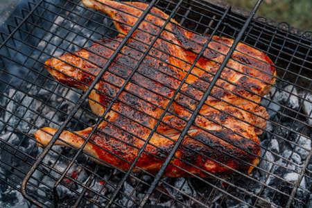 charcoal cooking grilled chicken brazier nature fresh airの写真素材
