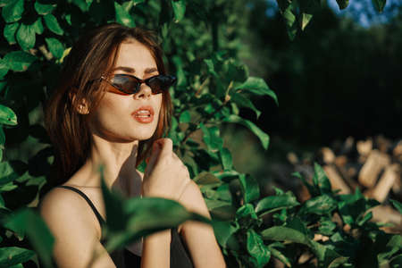 cheerful fashionable woman in sunglasses and green leaves russian summerの写真素材