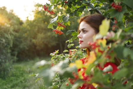 Woman red dress green leaves nature summerの写真素材