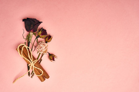 flowers decoration cinnamon pink background top viewの写真素材