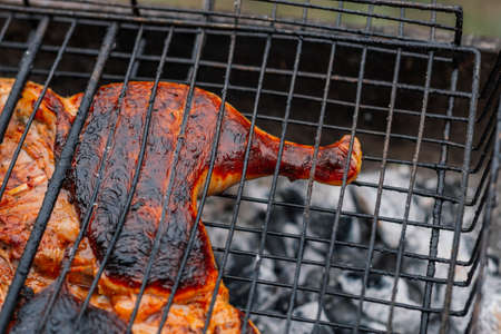grilled chicken outdoor cooking charcoal grill natureの写真素材