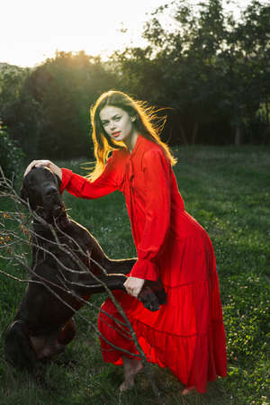 woman in a red dress in a field with a black dog Friendship funの写真素材