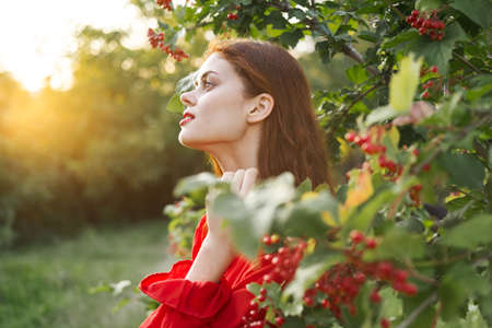 Woman red dress green leaves nature summerの写真素材