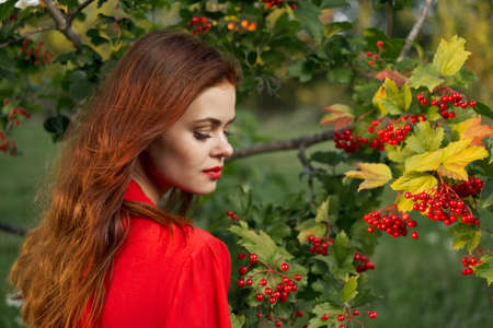 Woman in red shirt plants berries nature summerの写真素材