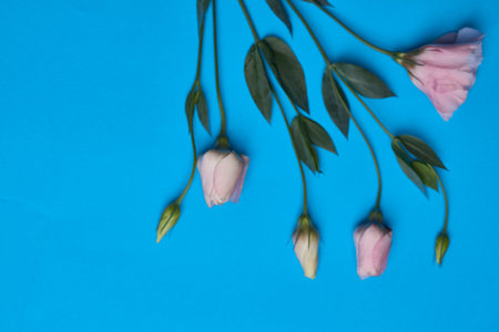 birthday gift holiday decoration blue flowers background