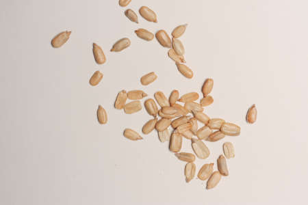 peeled seeds on a light background sunflower have on topの写真素材
