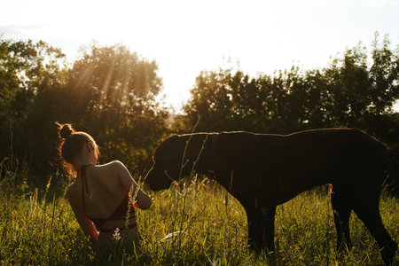 cheerful woman playing with a dog in a field in nature in summer