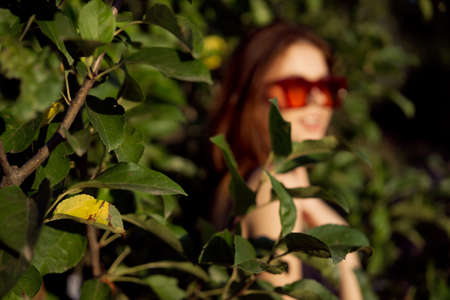 pretty woman wearing sunglasses green leaves glamor posing summerの写真素材