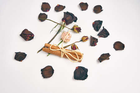 rose petals bouquet of flowers decoration cinnamon beautyの写真素材