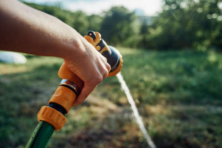 watering plants with garden hose nature agriculture cultivationの写真素材