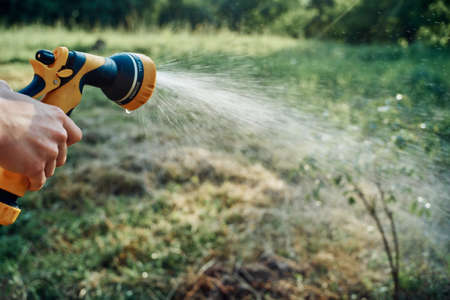 woman watering tree in garden countryside summer agricultureの写真素材