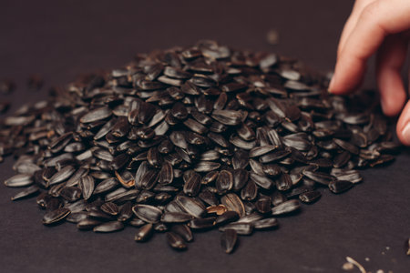 natural product sunflower seeds handing close-up foodの写真素材