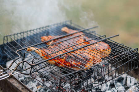 grilled chicken outdoor cooking charcoal grill natureの写真素材