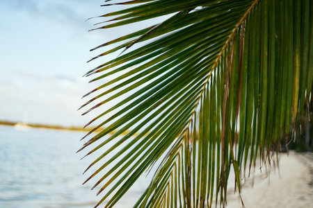 woman in blue swimsuit on the beach island lifestyleの写真素材