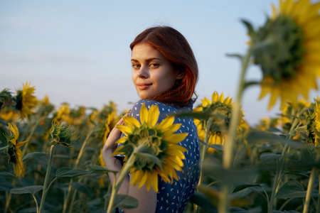 pretty woman with hat in the field of sunflowers freedom natureの写真素材