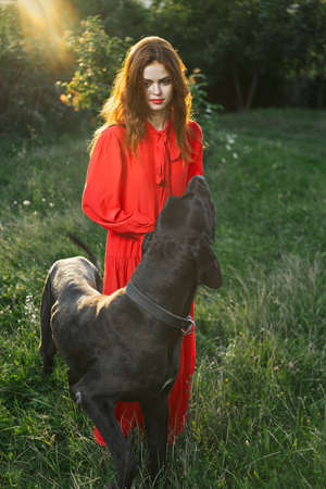 woman in a red dress in a field with a black dog Friendship funの写真素材