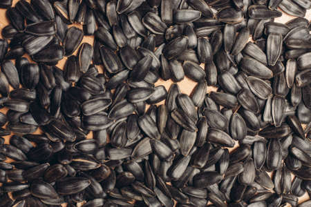 sunflower seeds agriculture wood background organicの写真素材