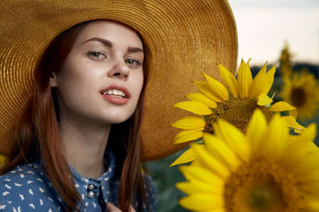 Walk in the sunflower field nature charm outdoor activitiesの写真素材