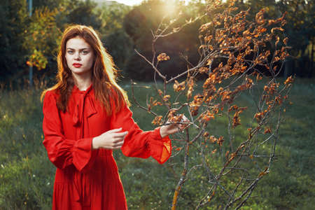 woman in red dress in field near tree posing summerの写真素材