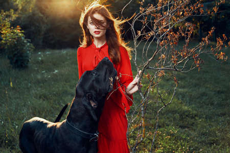 fashion attractive woman in black purebred dog outdoorsの写真素材