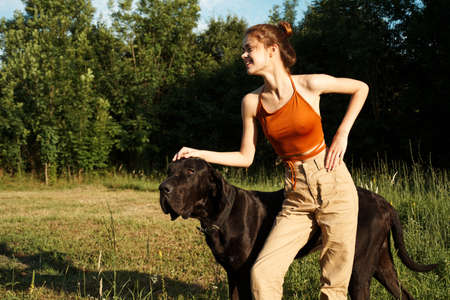 woman in the field in summer playing with a dog friendshipの写真素材