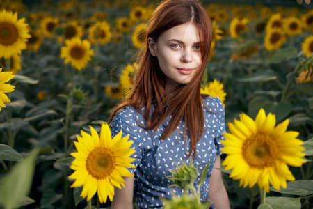 Walk in the sunflower field nature charm outdoor activitiesの写真素材