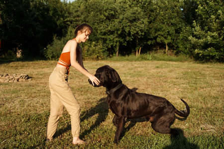 cheerful woman playing dog outdoors in the field of friendshipの写真素材