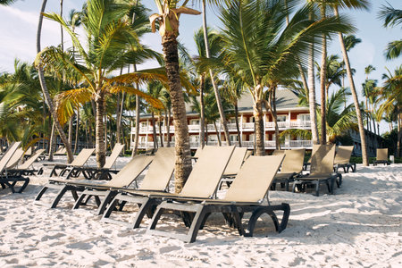 beach sun loungers white sand palm trees tropics landscape luxuryの写真素材