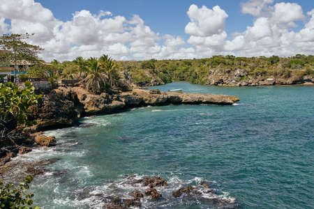 island palm trees Exotic landscape tropics summerの写真素材