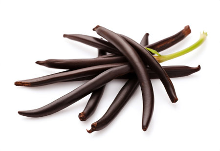 Jasmine oil spa nature vanilla aromatherapy healthyの素材