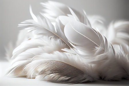 White albino bird feathers close-up on white isolated background, delicacy and softness, design background, copy space. Generative AIの素材