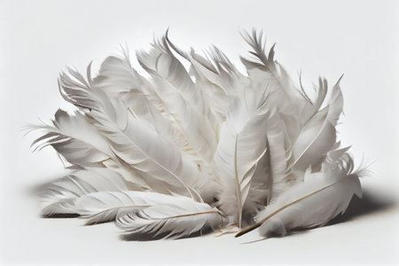 White albino bird feathers close-up on white isolated background, delicacy and softness, design background, copy space. Generative AIの素材