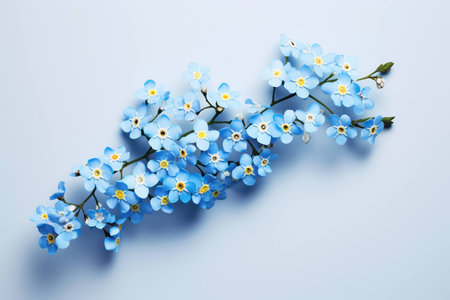 Flower branch seasonal nature blossoming blooming white background spring cherry floral treeの素材