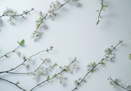 Delicate cherry blossom branches arranged on a soft gray background, creating a serene and tranquil atmosphereの素材