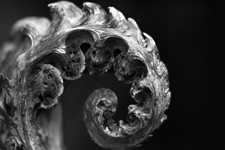 Intricate black and white close-up of an ornate fern frond, showcasing its detailed texture and unique swirling pattern. Nature and botanical concept.の素材
